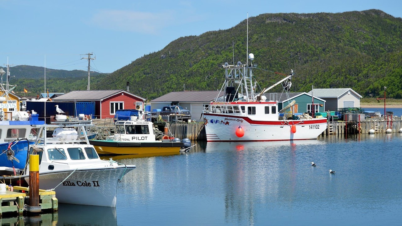 Stephenville, NL, Canada | Towns in Tune