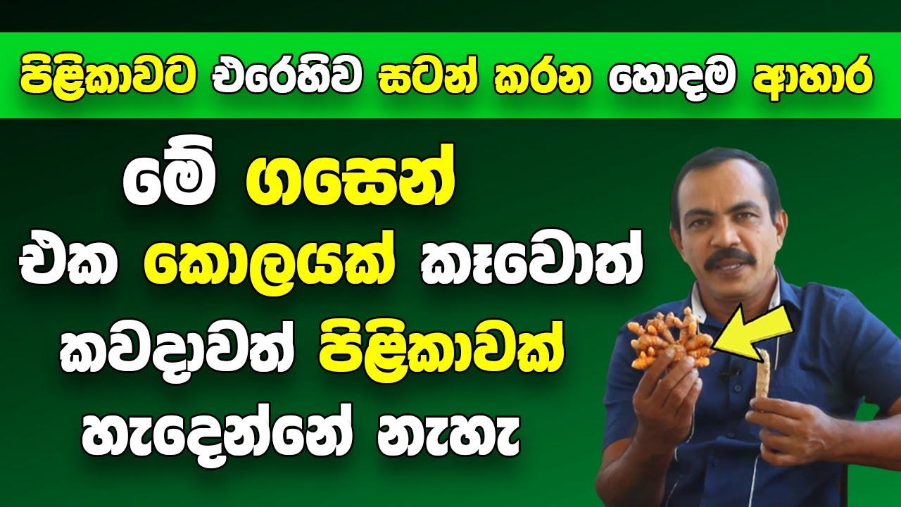 මේ ගසෙන් එක කොලයක් කෑවොත් කවදාවත් පිළිකාවක් හැදෙන්නේ නැහැ  | Foods Could Lower Your Risk of Cancer