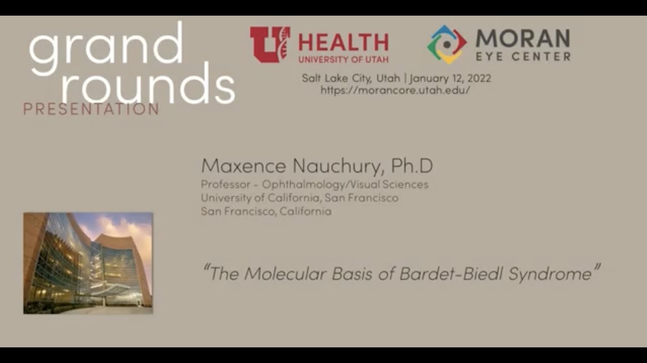 The Molecular Basis of Bardet Biedl Syndrome