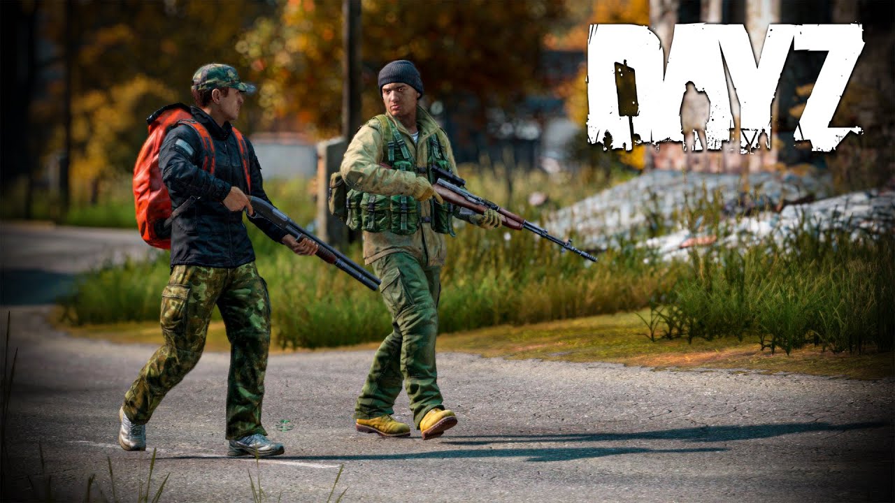 Стая чаек собирается в косяк - DayZ