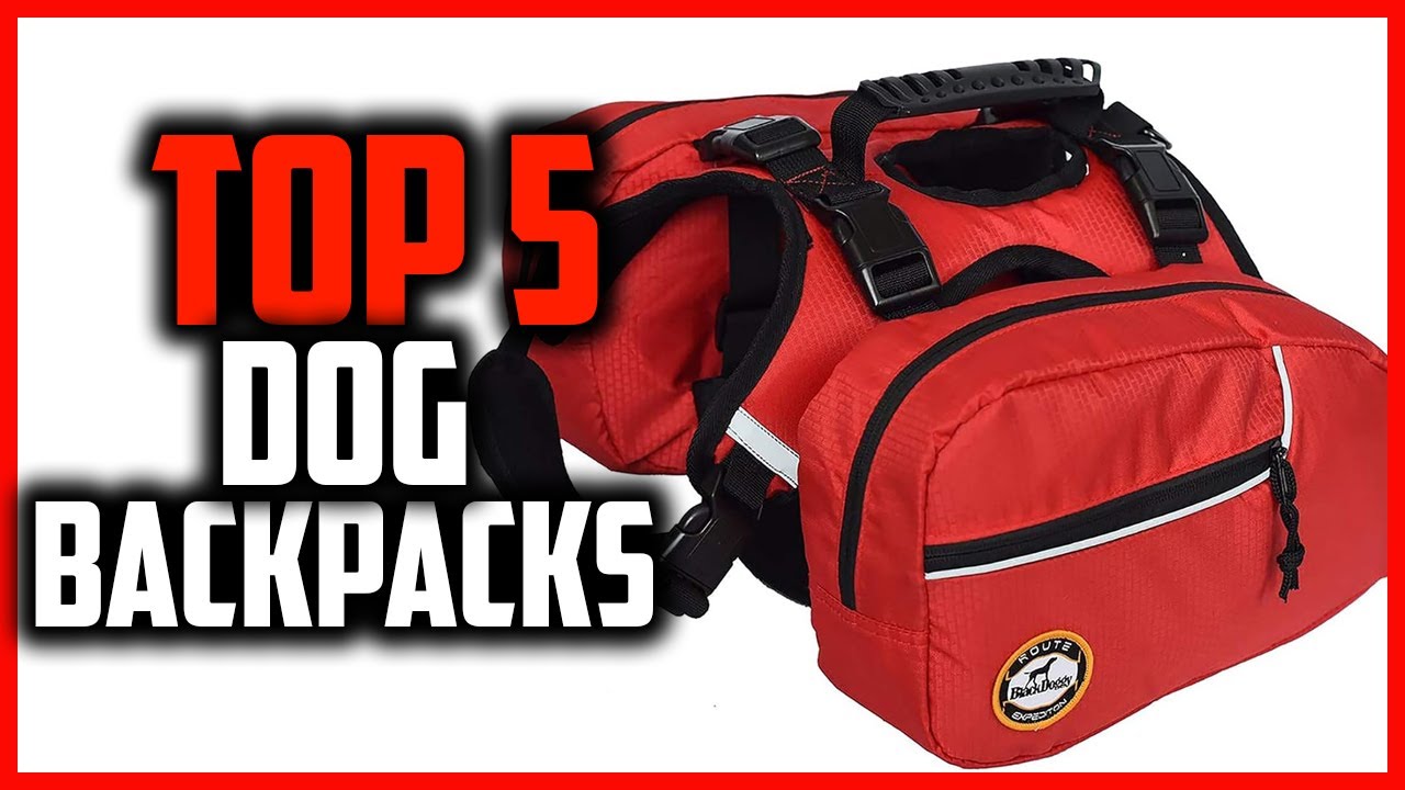 ✅ Top 5 Best Dog Backpacks for Hiking 2024