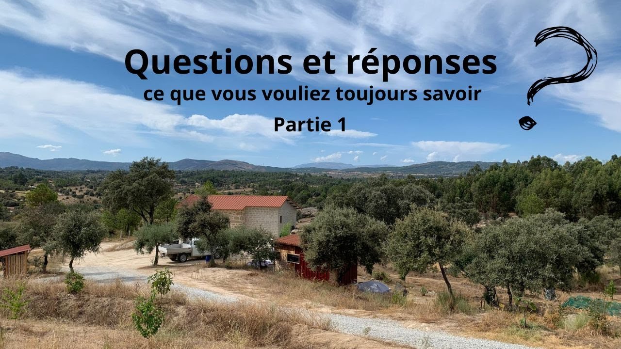 questions et réponses, ce que vous vouliez toujours savoir partie 1