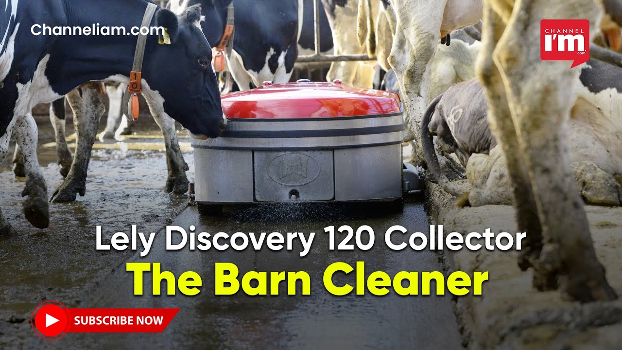 Meet the Future of Barn Hygiene: The Lely Discovery 120 Collector