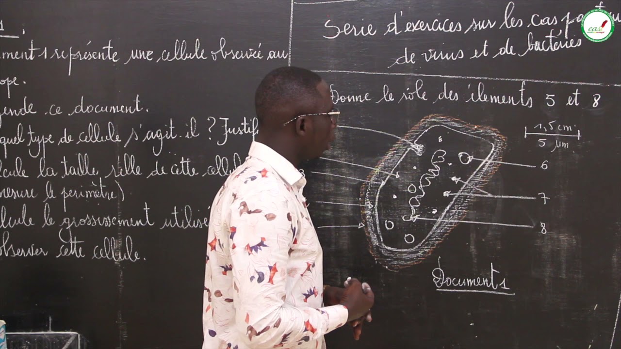 Exercices - Première L - SVT : Cas particulier de virus et de bactéries / M. Beye