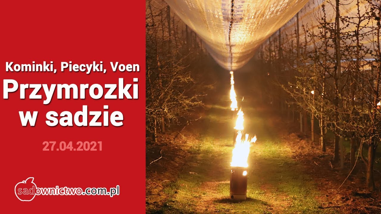 Przymrozki w sadzie 2021 - CZEREŚNIE - Kominki, Piecyki, Voen - frost protection - sadownictwo