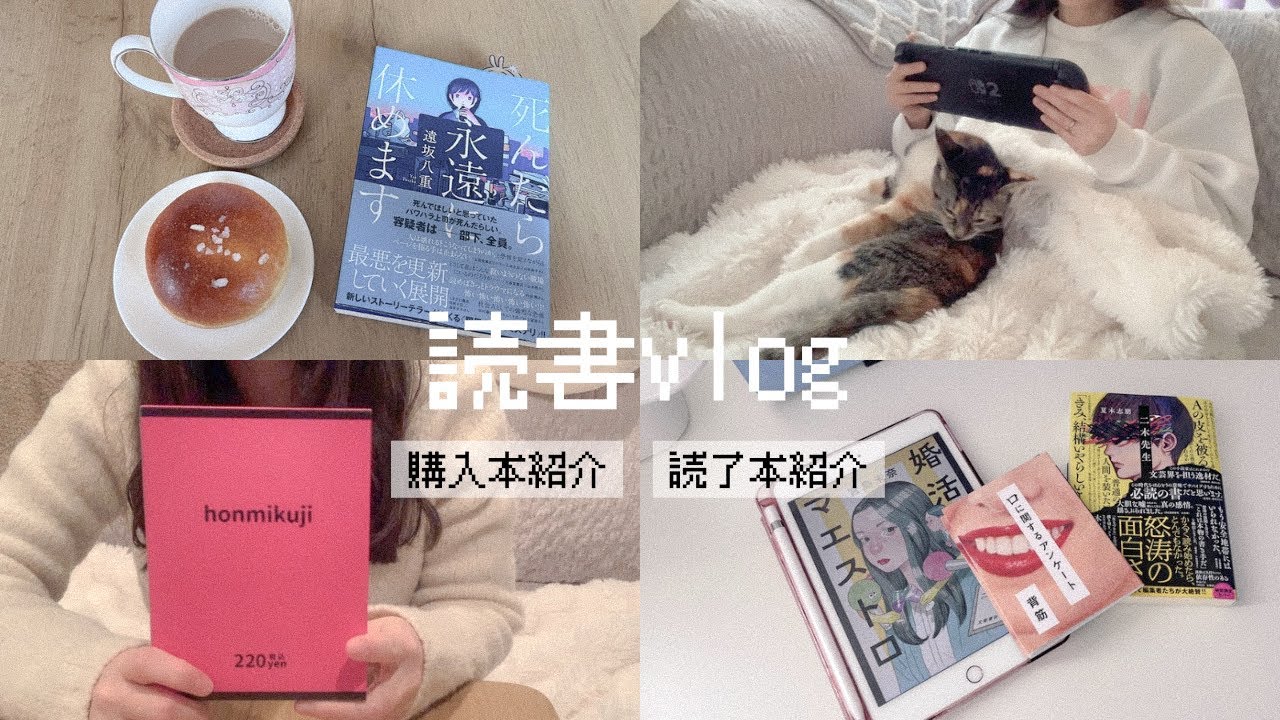 読書vlog｜また本みくじ買ってみた｜ブックオフ購入本｜読了本紹介