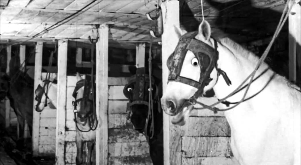 Wallace the Pit Pony