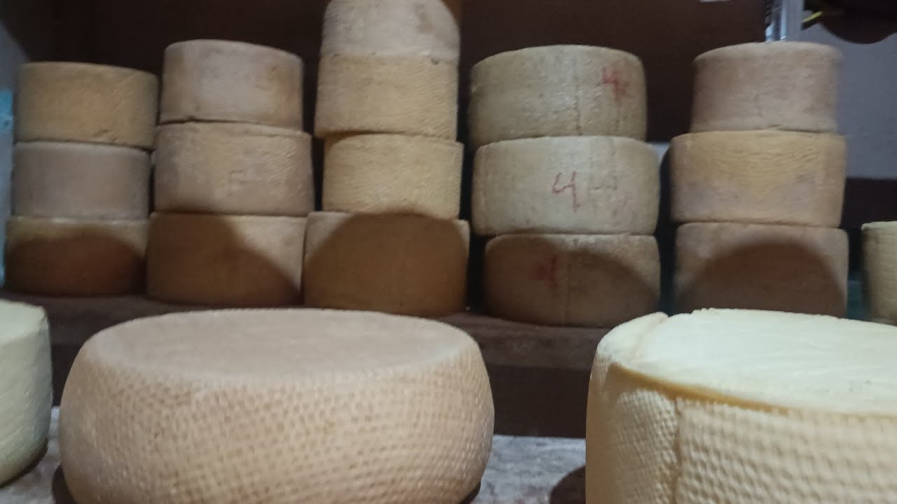 Queso Cotija de Casa Tonino Comparto sabor y calidad @cotidiano399