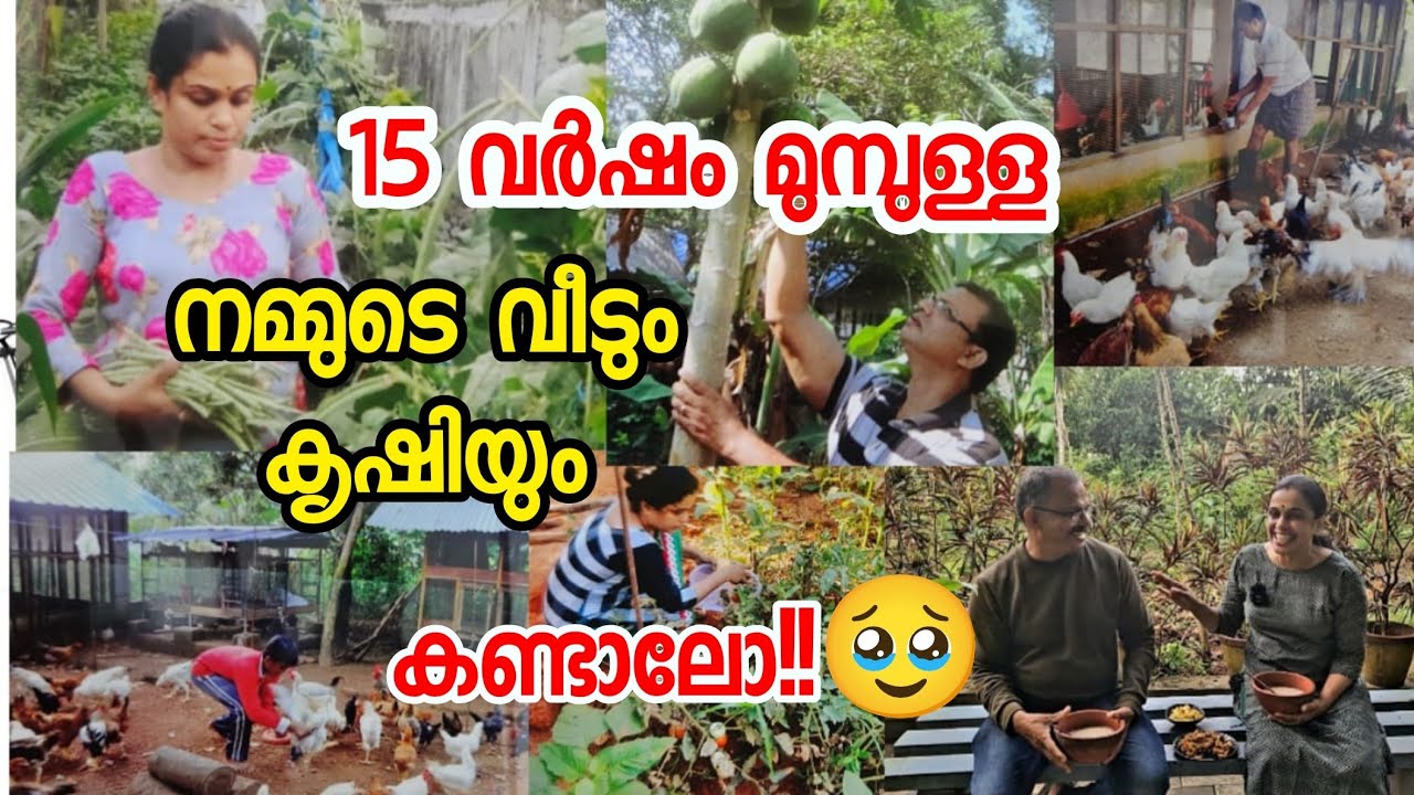 15 വർഷം മുമ്പുള്ള ഞങ്ങളുടെ വീടും പരിസരവും കാണാട്ടാ | Home Tour Malayalam | Breakfast