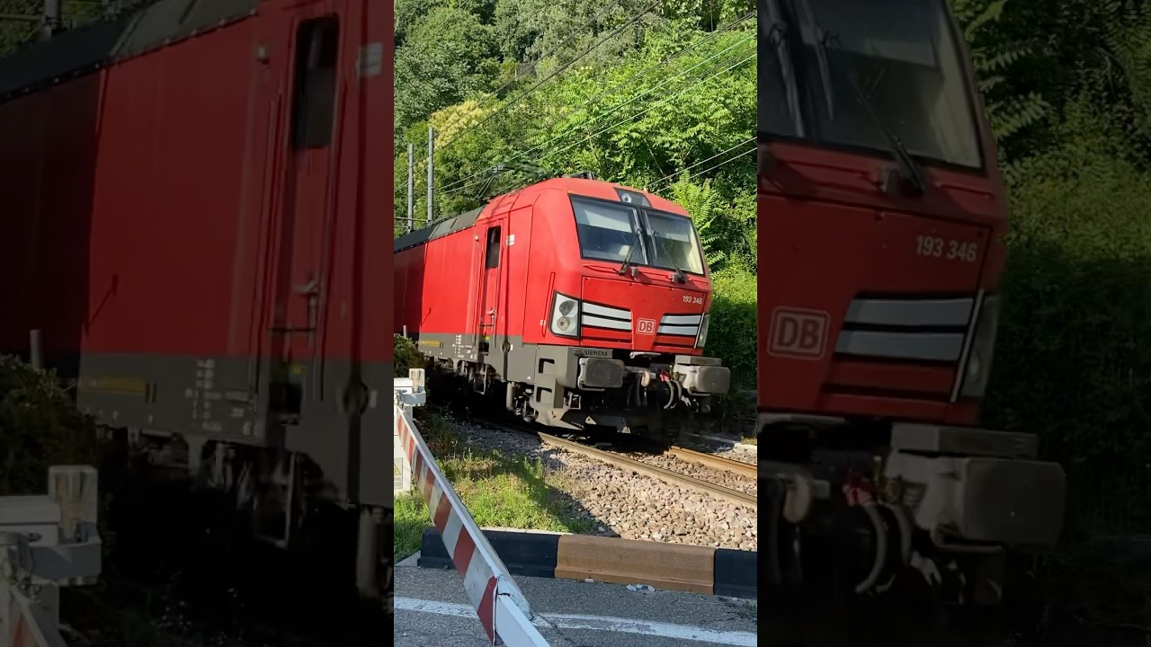 RARISSIMA DOPPIA DI DB CARGO A LAVENO!!! #train #railwaycontent #railway #railtrack #railvlogger