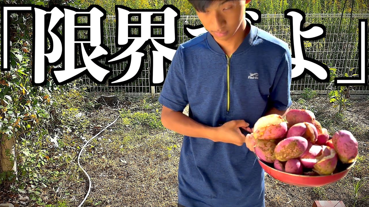 【ご近所トラブル】もう耐えられないので仕返しします。
