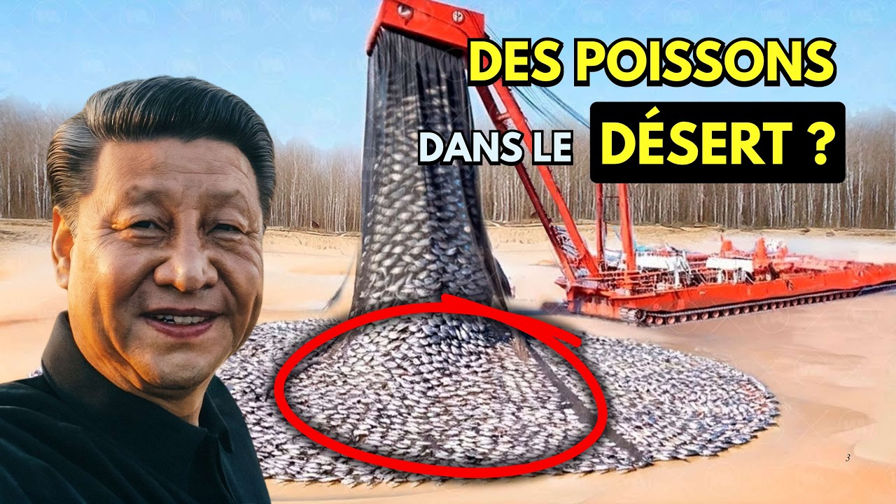 Des MILLIONS de poissons dans le DÉSERT : le résultat est INCROYABLE !