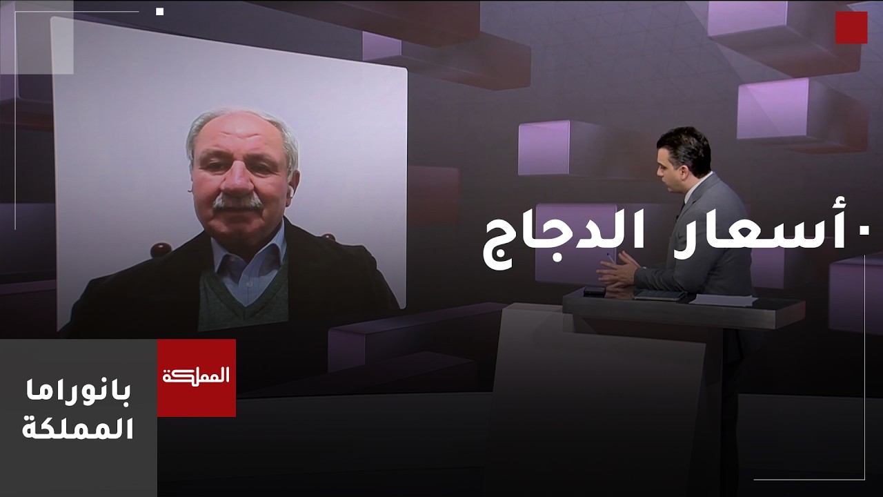 رئيس جمعية مستثمري الدواجن يعلّق على ارتفاع أسعار الدواجن في الأسواق المحلية