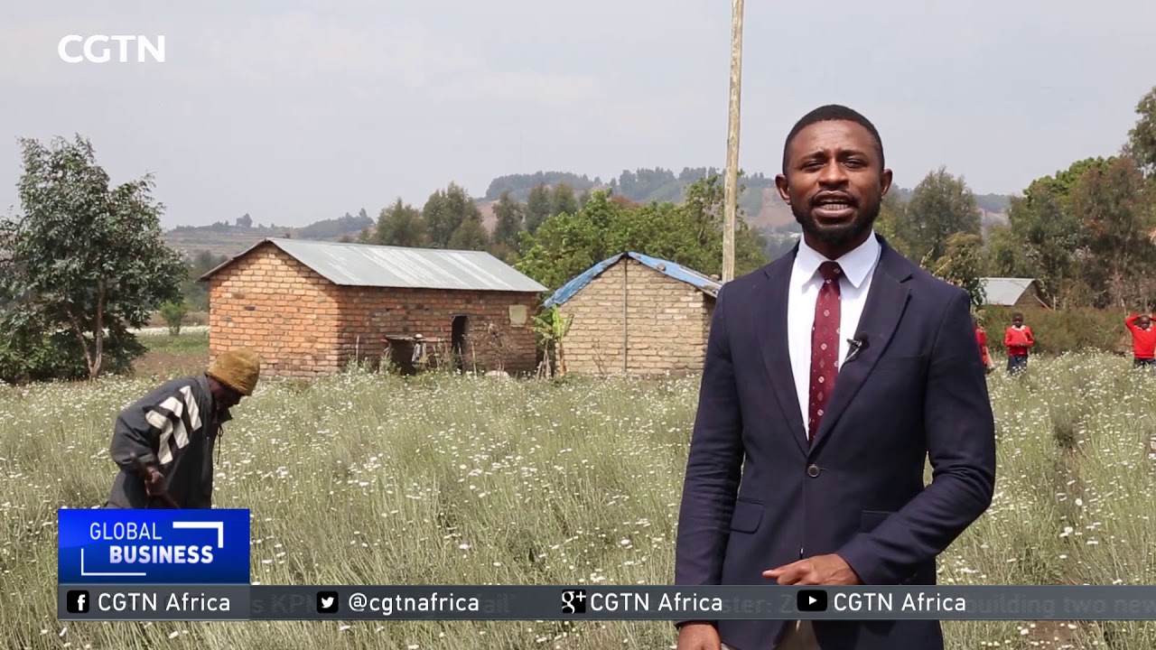 Plans to revolutionize farming in Tanzania taking shape