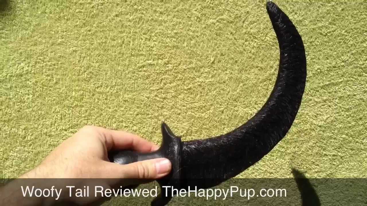 SquarePeg Woofy Tail Pup Play Review