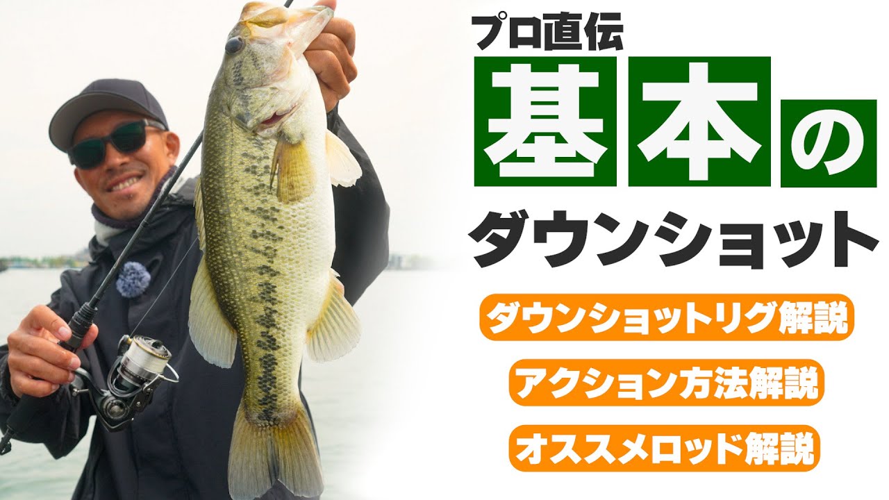 【バス釣り】プロガイド直伝！基本のダウンショット解説！釣りスキルを上げる方法