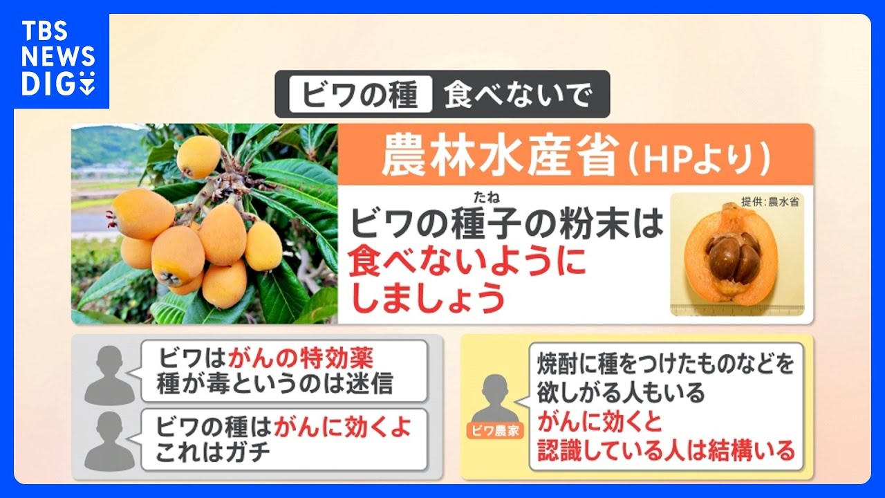 &ldquo;食べるとガンに効果ある&rdquo;！？&nbsp;SNSで拡散の「ビワの種」&nbsp;農水省は注意呼びかけ「食べないように」【解説】｜TBS&nbsp;NEWS&nbsp;DIG