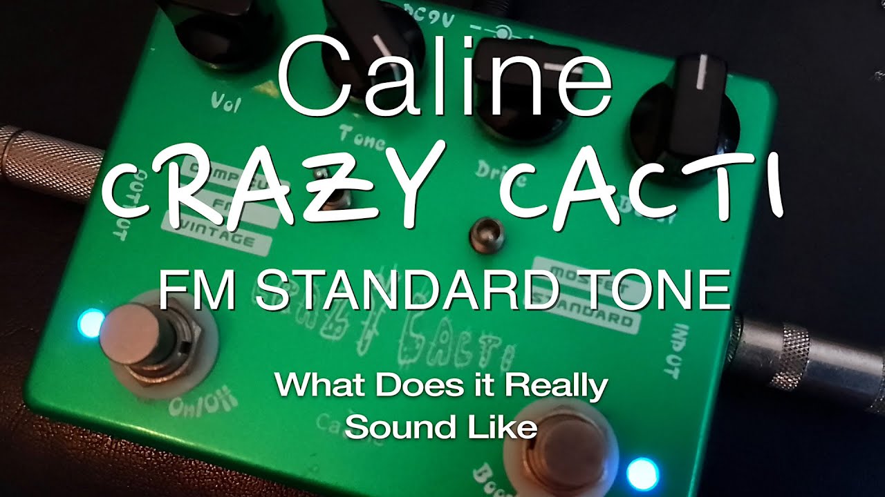 THE VERY COOL FM STANDARD TONE OF THE CALINE CRAZY CACTI PEDAL THROUGH A FENDER HOT ROD DELUXE