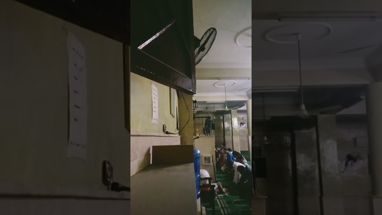بث مباشر صلاة فجر اليوم من مسجد الشيخ سنجر||المزمل والكافرون||للشيخ ناصراحمد
