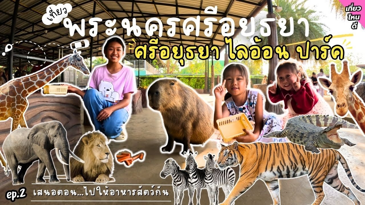 เที่ยวสวนสัตว์ ศรีอยุธยา ไลอ้อน ปาร์ค (Sriayuthaya Lion Park) ในราคาประหยัด ep.2| อิมเมจเพียงออ
