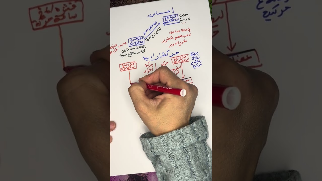 مراجعة للاختبار الثاني الجزء الأول اتصال عصبي 