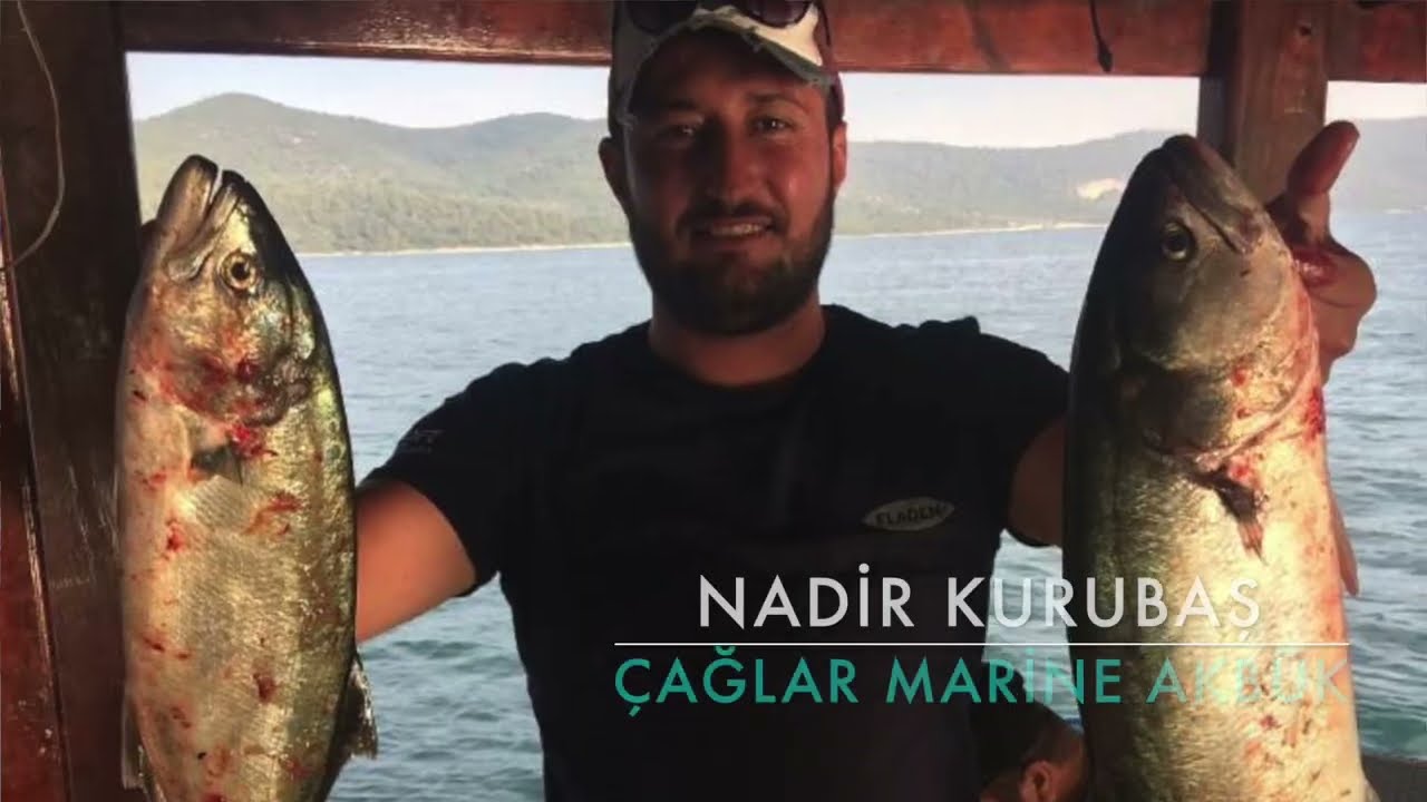 Dersimiz KOFANA 🎣 | Çağlar Marin’den Usta Taktikler ve Gerçek Av Sahnesi!”