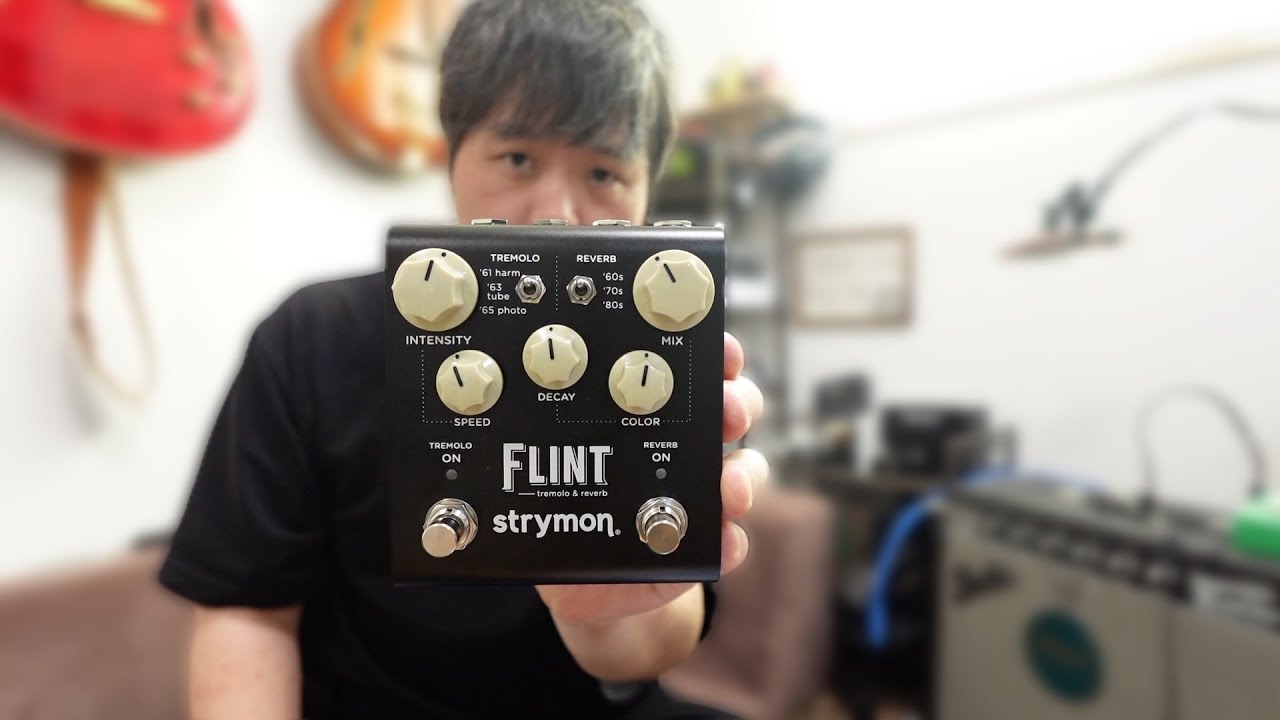これは一家に一台レベルのクオリティー！STRYMON FLINT V2レビュー