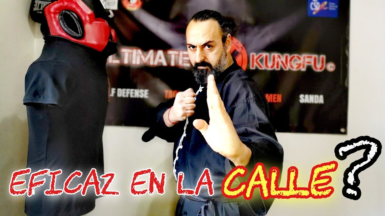 ¿KUNGFU es EFICAZ en la CALLE?