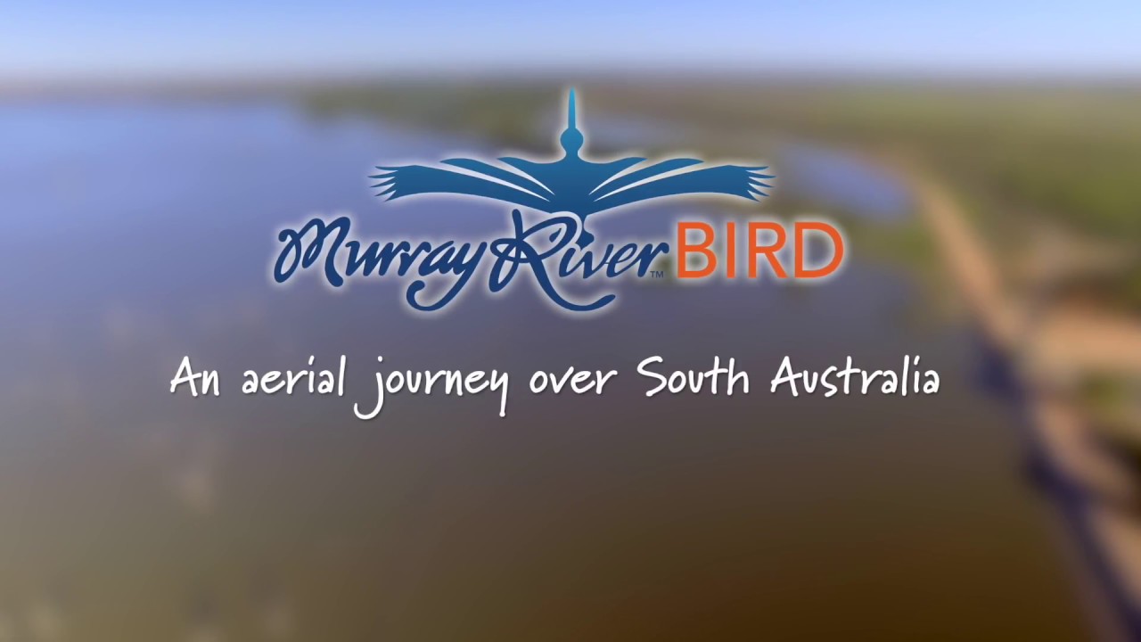 Murray River Bird over SA DVD full video
