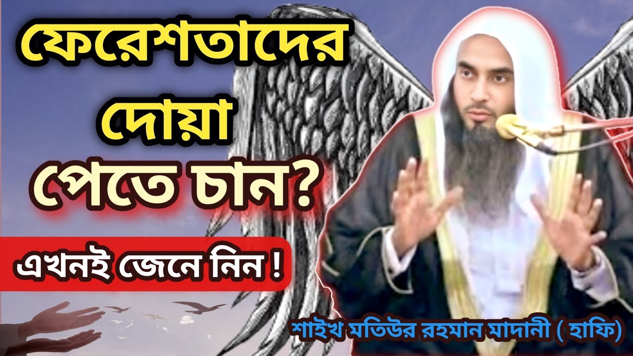 ফেরেশতাদের দোয়া পেতে চান? জেনে নিন কী করতে হবে! 💫 | শাইখ মতিউর রহমান মাদানী ( হাফিজাহুল্লাহ)