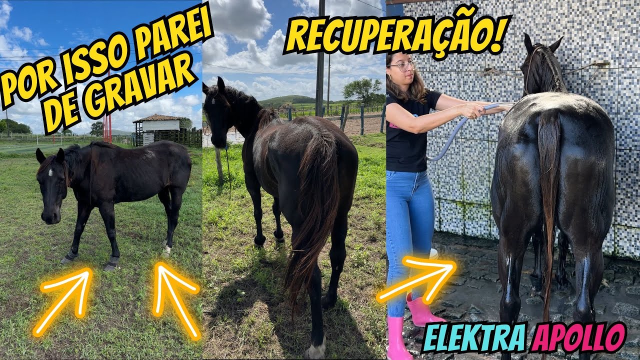 ESTAMOS DE VOLTA! ESSE V&Iacute;DEO DEMOROU 3 MESES PARA FICAR PRONTO...