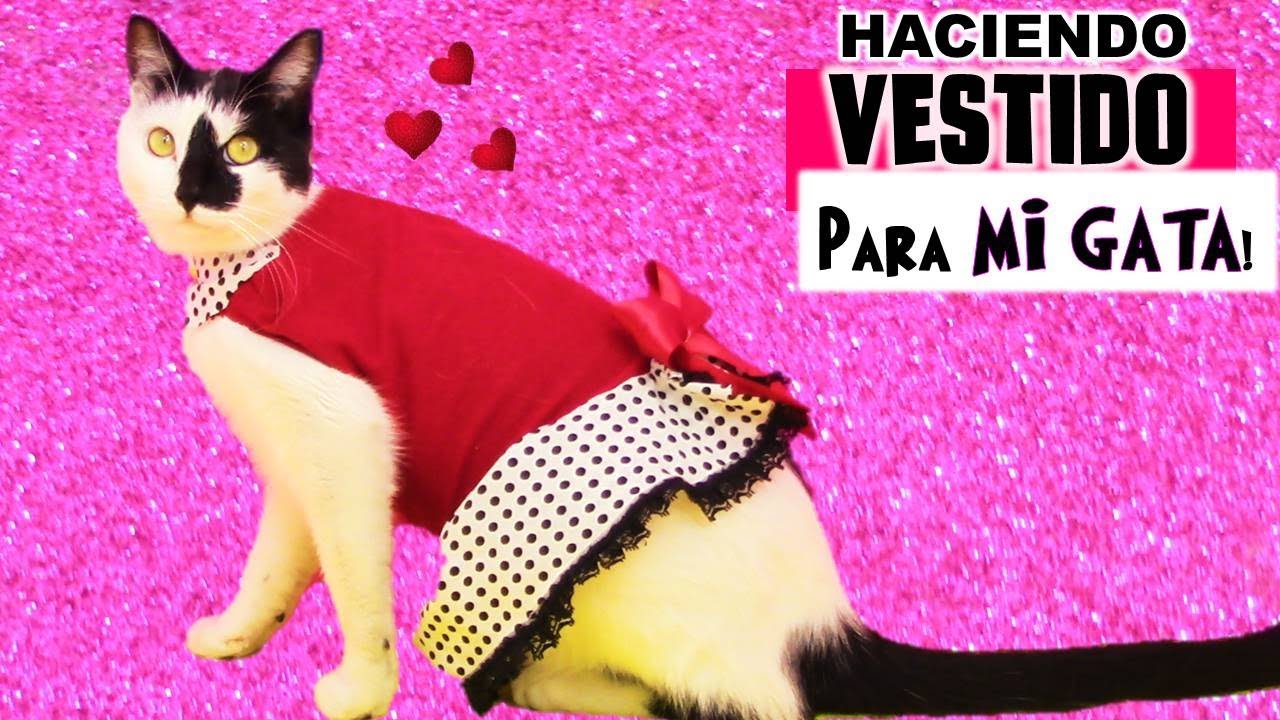Le hice ROPA a mi GATITA Pandita!!