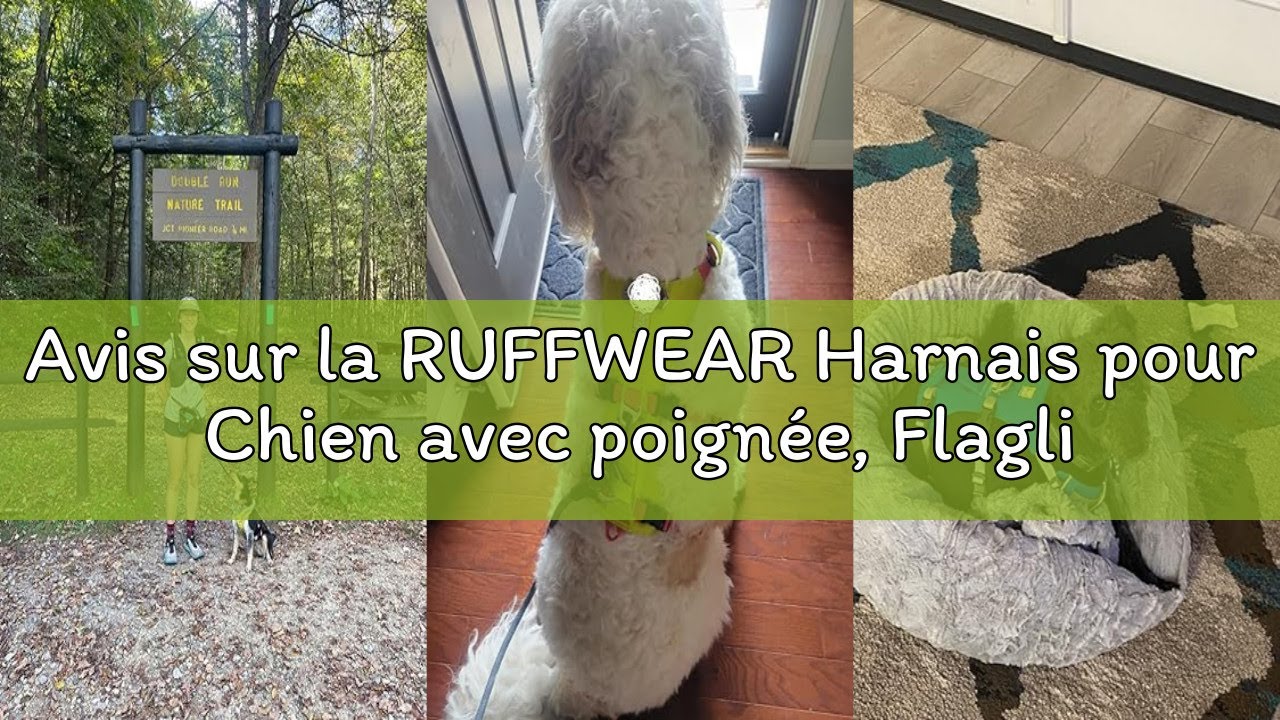 Avis sur la RUFFWEAR Harnais pour Chien avec poignée, Flagline, Confortable et léger, Multi-Usage, r