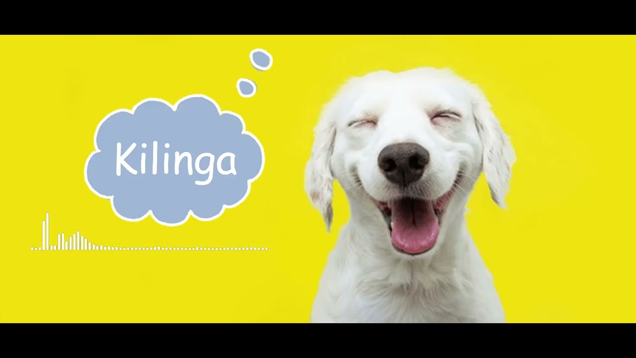 Sammy Star - Kilinga {Official Audio}