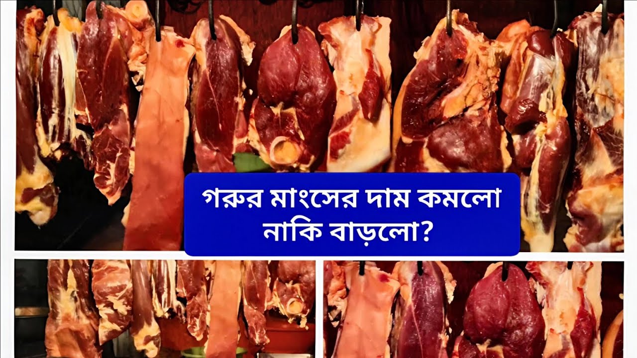 গাজীপুরে মাংসের বাজারে চমক! দাম বেড়েছে নাকি কমেছে? @Pricepointbd-r9f #viral #beef #market 