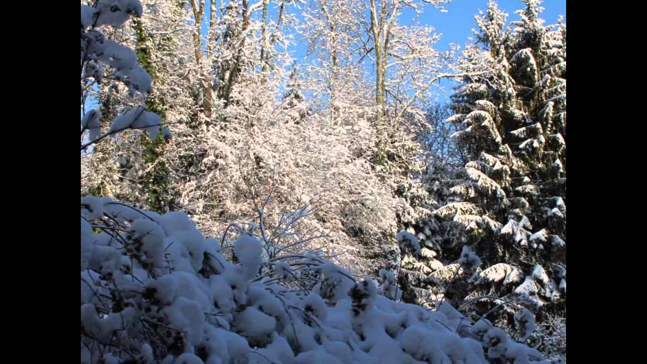 Christian Ritter Suite in F sharp Minor: Sarabande Robert Hill, Lautenwerk