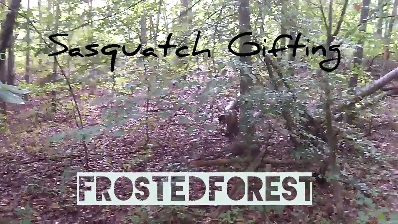 Good Sasquatch Gifting Results - Bigfoot Alabama