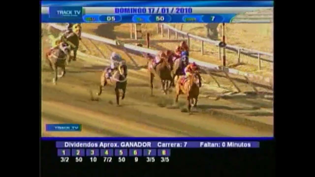 La hija de Hechicera ELEGIDA las galopo en el Clasico Andres Bello del a&ntilde;o 2010.