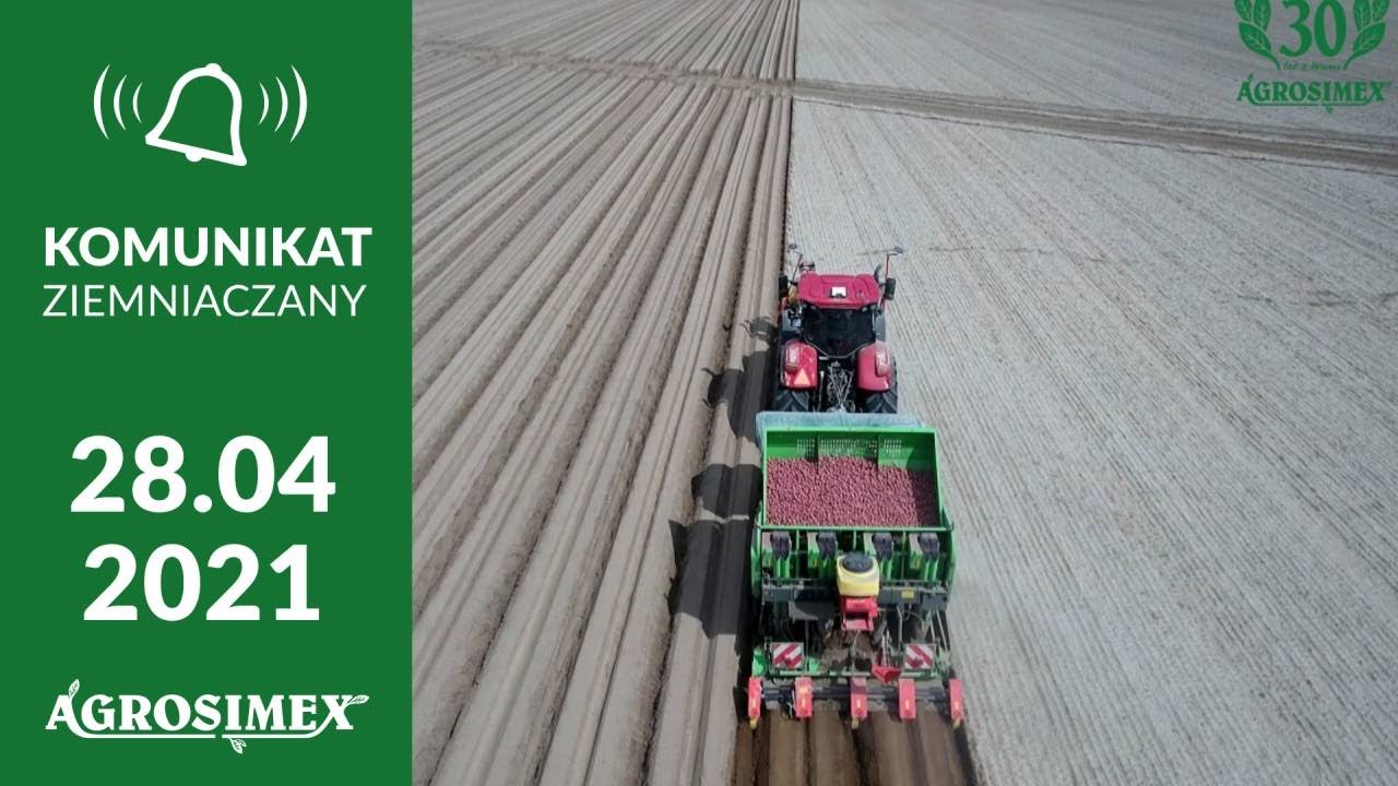 Jakie zabiegi wykonać na start w ziemniakach? - komunikat ziemniaczany Agrosimex