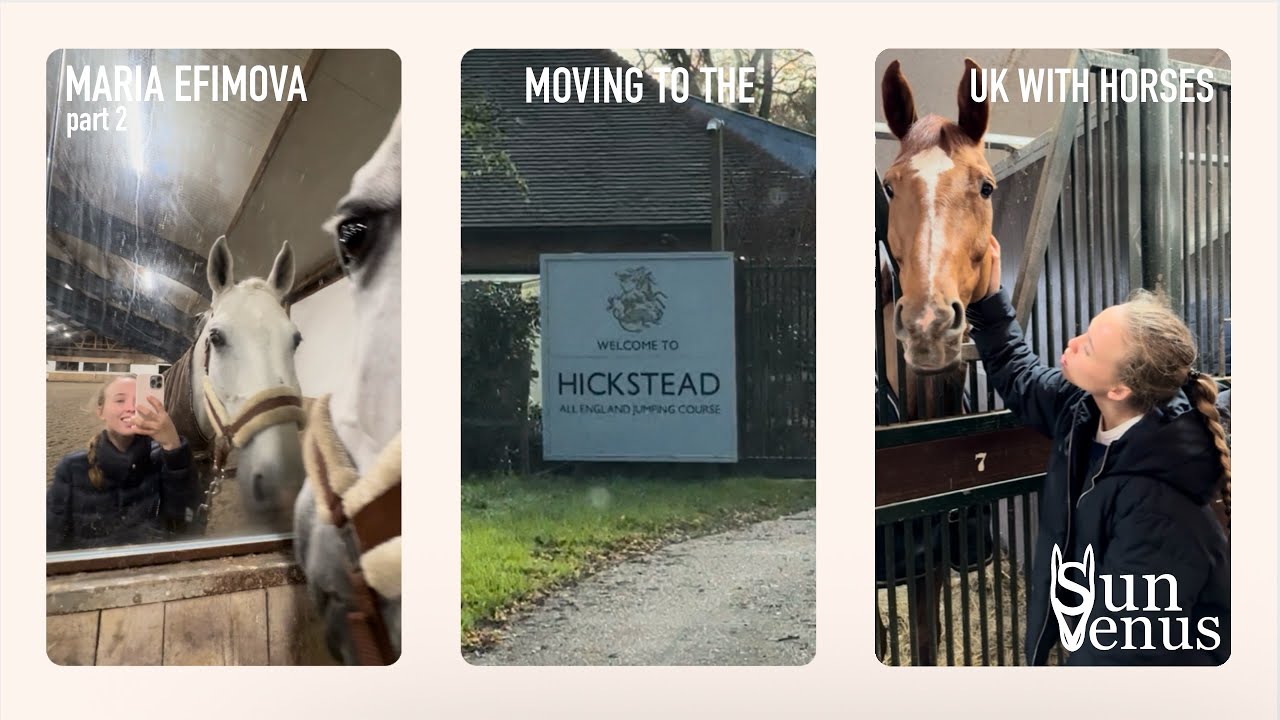 MOVING TO LONDON WITH HORSES - часть 2