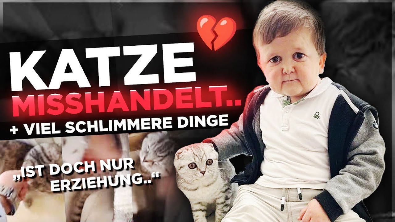 Influencer Hasbulla SCHLÄGT seine KATZE und wird von FANS VERTEIDIGT + viel schlimmere Dinge EXPOSED