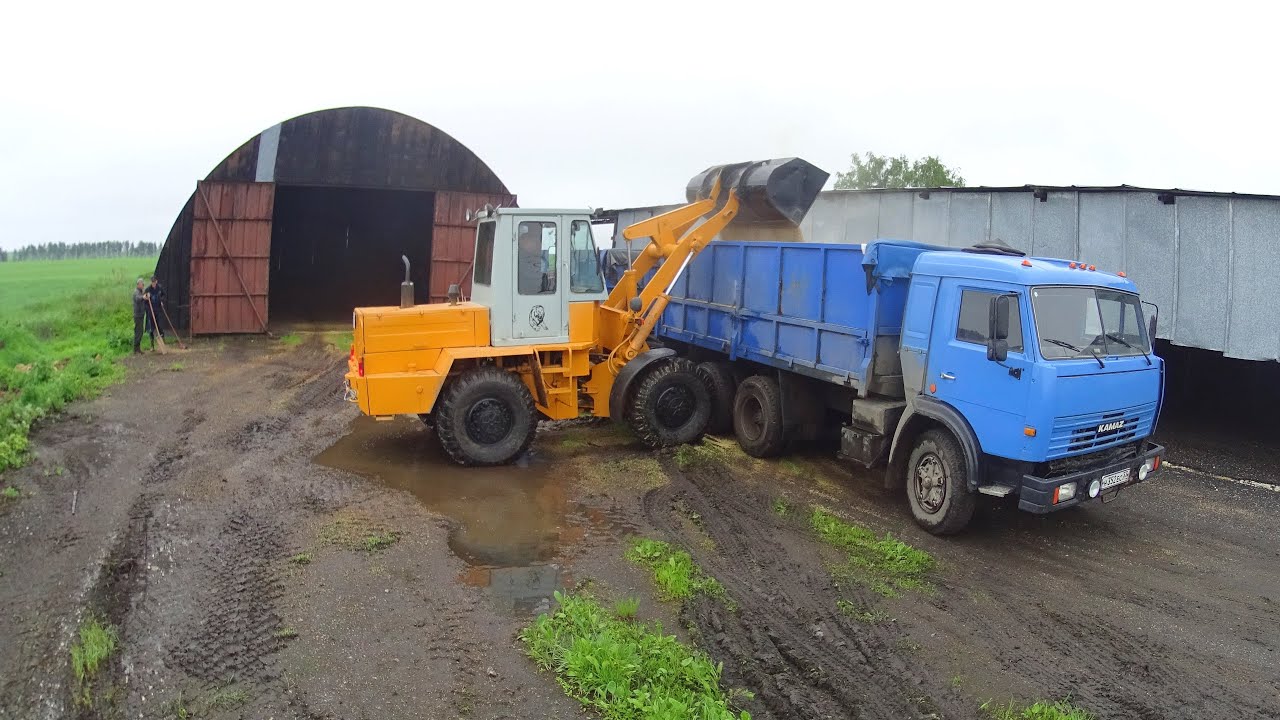 Погрузка ячменя погрузчиком ТО-30 в КАМАЗ. Новые фары на МТЗ-82.