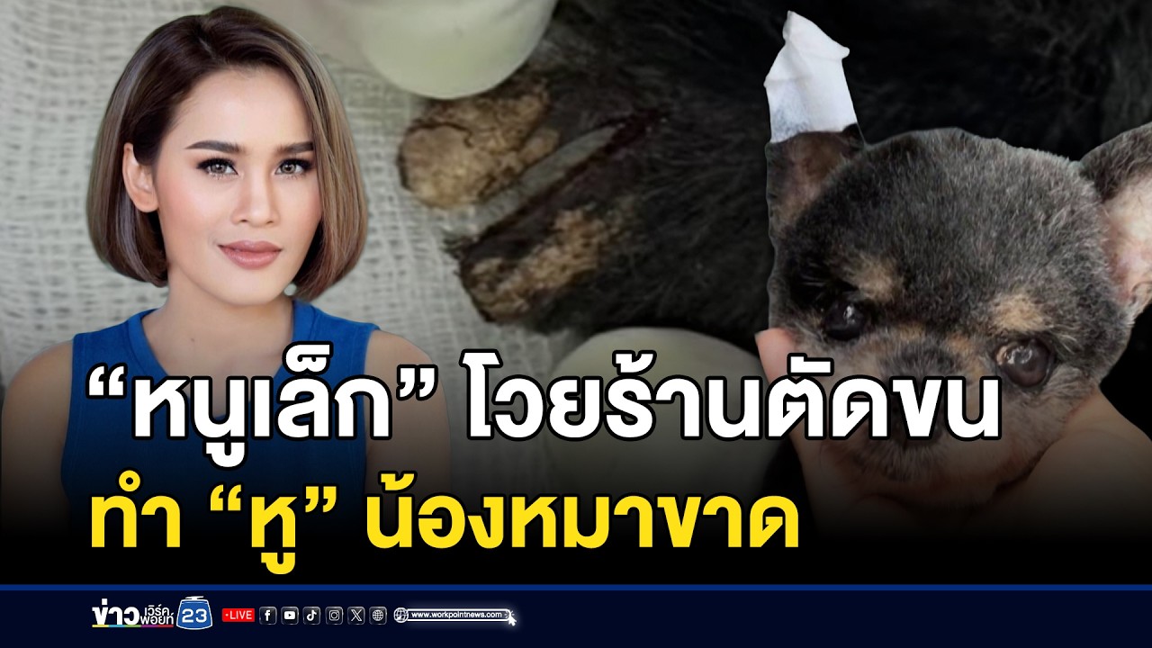 “หนูเล็ก” โวยร้านตัดขน ทำ “หู” น้องหมาขาด | ชงข่าวเขย่าจอ | 11 กุมภาพันธ์ 2569