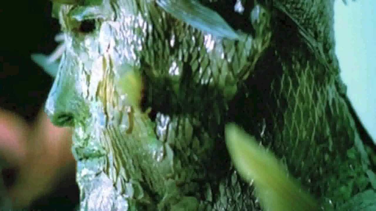 Pooh - Capita quando capita (Official video)