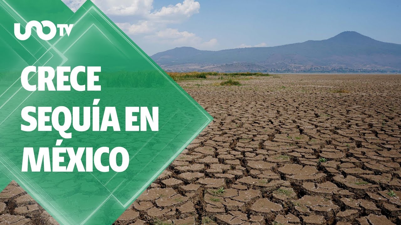 Sequ&iacute;a en M&eacute;xico 2025: al menos 13 estados est&aacute;n gravemente afectados