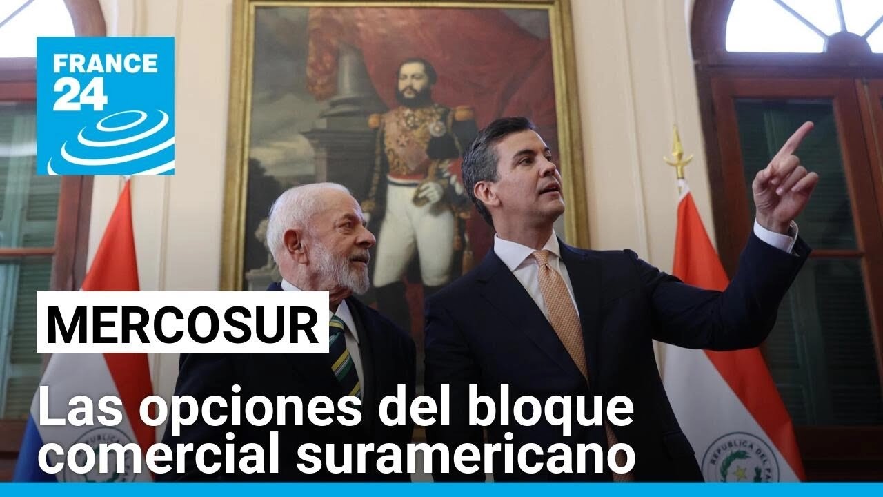 El futuro del Mercosur: ¿un mercado voraz o alejado de la ultraliberalización?