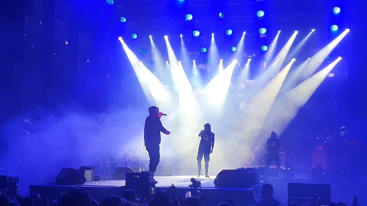 Carla's Dreams - Acele | Live