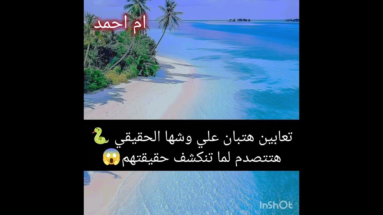 تعابين هتبان علي وشها الحقيقي 🐍هتتصدم لما تنكشف حقيقتهم😱