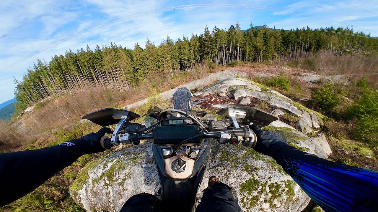 McNutt | Finally crashed into a tree