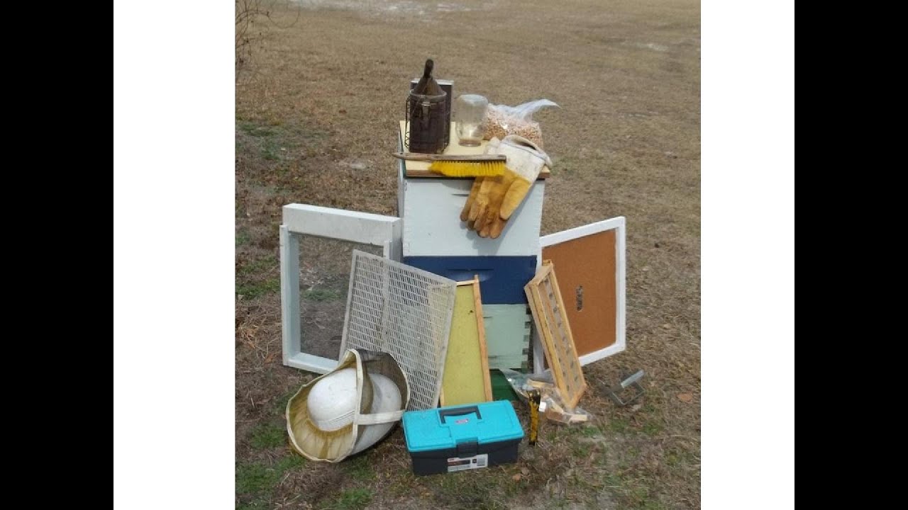 Basic Beekeeping